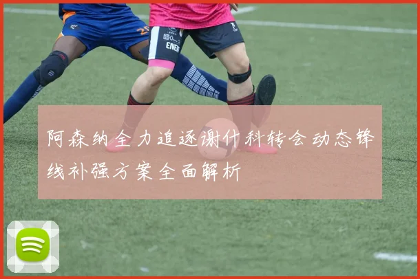 阿森纳全力追逐谢什科转会动态锋线补强方案全面解析