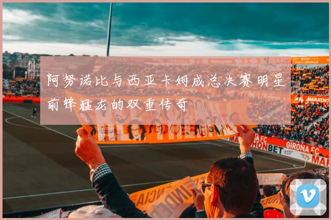 阿努诺比与西亚卡姆成总决赛明星前锋猛龙的双重传奇